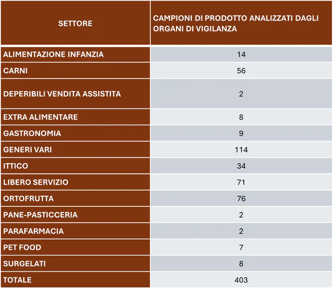 Controlli Organi di Vigilanza.png